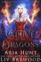 [Bonfire Falls Paranormal Romance 03] • Captive of the Dragons